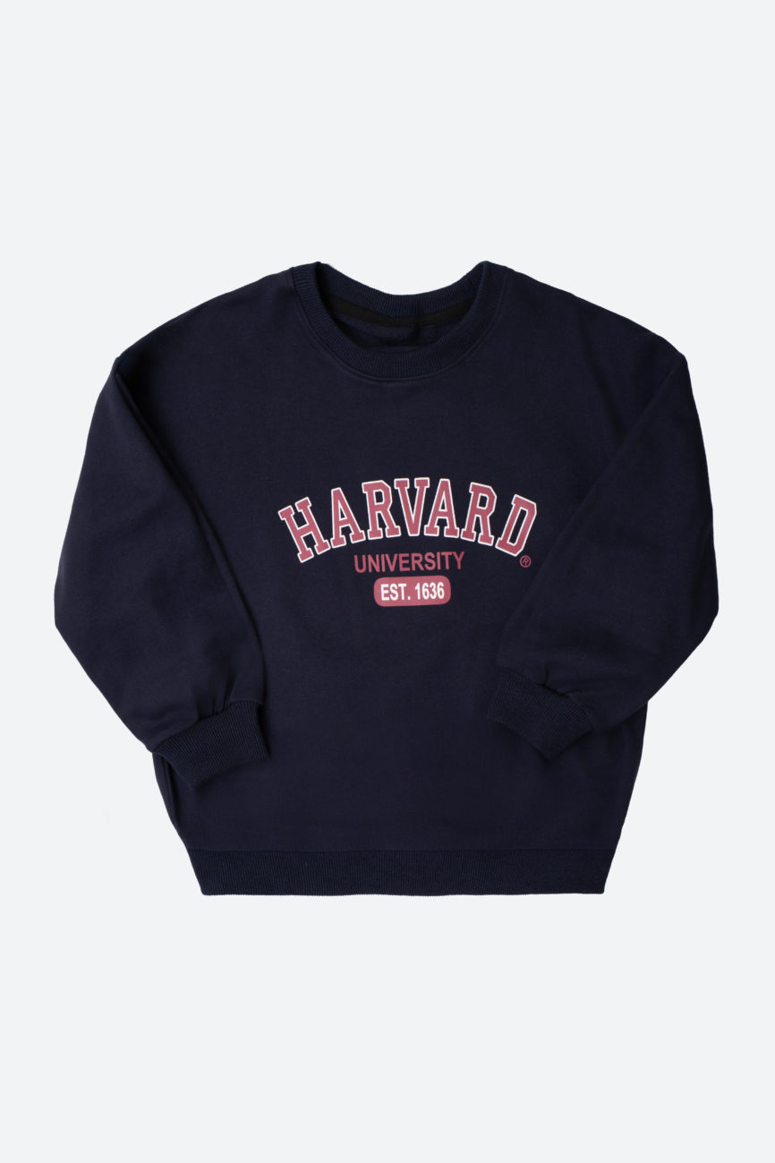 Спортивный костюм Harvard